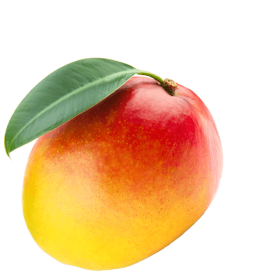 Original Mango Desktop Left v2